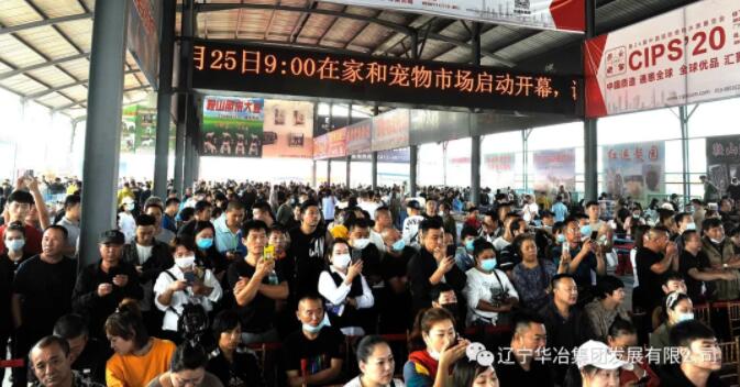 w66.com·(中国区)官方网站